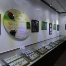 여주곤충박물관 이미지