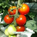 가경농장 이미지