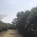산양중학교 | 통영 달아공원 / 동피랑