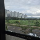 서귀포시 축협청정제주촌 | [흑돼지 맛집 강추] 서귀포시 축협 청정제주촌