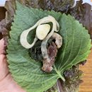 연지가든 이미지