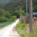 마비정농장 이미지