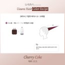 염색약소매