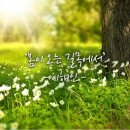 봄이오는길목