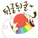 반려인연