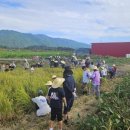 광의초교 이미지