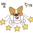 헬로우댕댕 이미지