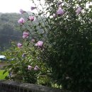 원송경로당 이미지