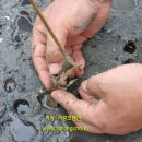 설천면112 이미지