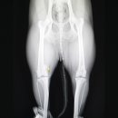 서산동물병원 이미지