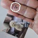 뚱부유부 | 9월이 아닌 12월
