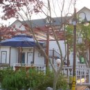 여울목펜션 이미지