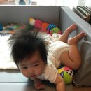 토리153 이미지