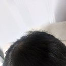 고운나라의원 이미지