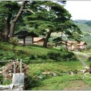 솔향기마을 이미지