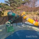 진달래어린이공원 화장실 | 부천 원미산 진달래축제 개화현황(2026 실시간) 아이랑 주차 꿀팁 총정리🌸