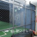 스크린리얼야구장 네이버블로그
