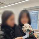 포벤져스 | 25년 1월 4주차 :: * 웰컴 호빵이 ! *
