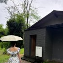 오인숲 | 치앙마이 몬쨈투어 하루일정｜싸이프레스·엘리펀팜·몬쨈 포토스팟 총정리
