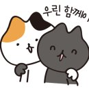 by JIN(바이진) 이미지