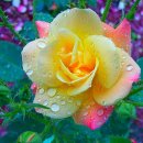 구름따라 그곳에가면 이미지