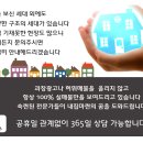 베리나이스 이미지