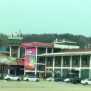 동산1리 | 4월 반드시 갖봐야 할 곳 추천!!//2025년 4월 17일 가평 에덴벚꽃길 현황 후기//지금이 절정이예요~~