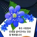 100세의료기 이미지