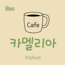 카멜리아 이미지