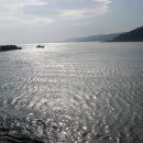 시종축산 이미지