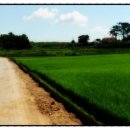 주식회사 베스트부동산중개법인 이미지