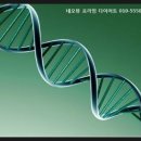 뉴라이프(NewLife) 이미지