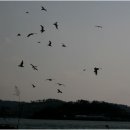 여수수협 앞 이미지