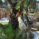 평안한의원 이미지