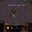 해처리