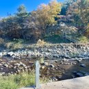 통통키즈풀빌라 이미지