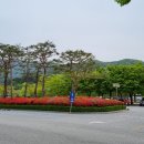 금산사길 이미지