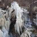 숲속의둥지 이미지