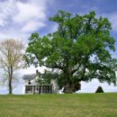 내곡동301 이미지