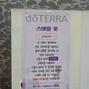 라라샵 옥동점 | 울산 남구 마사지 스마일풋 내돈내산 N번차 단골