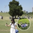 타샤의정원&플라워 | May,2026