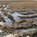 석매농장 이미지