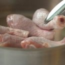 담아치킨 이미지