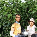 칠갑산농원 이미지