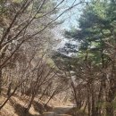 265회차 충남 보령 오서산산행 접수 이미지