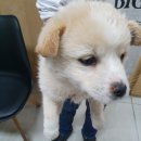 지내원당로 티스토리