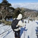 11코스 | 한라산등산예약 백록담 당일치기 관음사 코스 왕복 11시간 후기 (주차, 준비물, 예약방법)