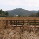 예직교회 개방화장실 이미지