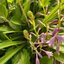 장애인복지관 주차장 이미지