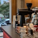 체리애견 이미지